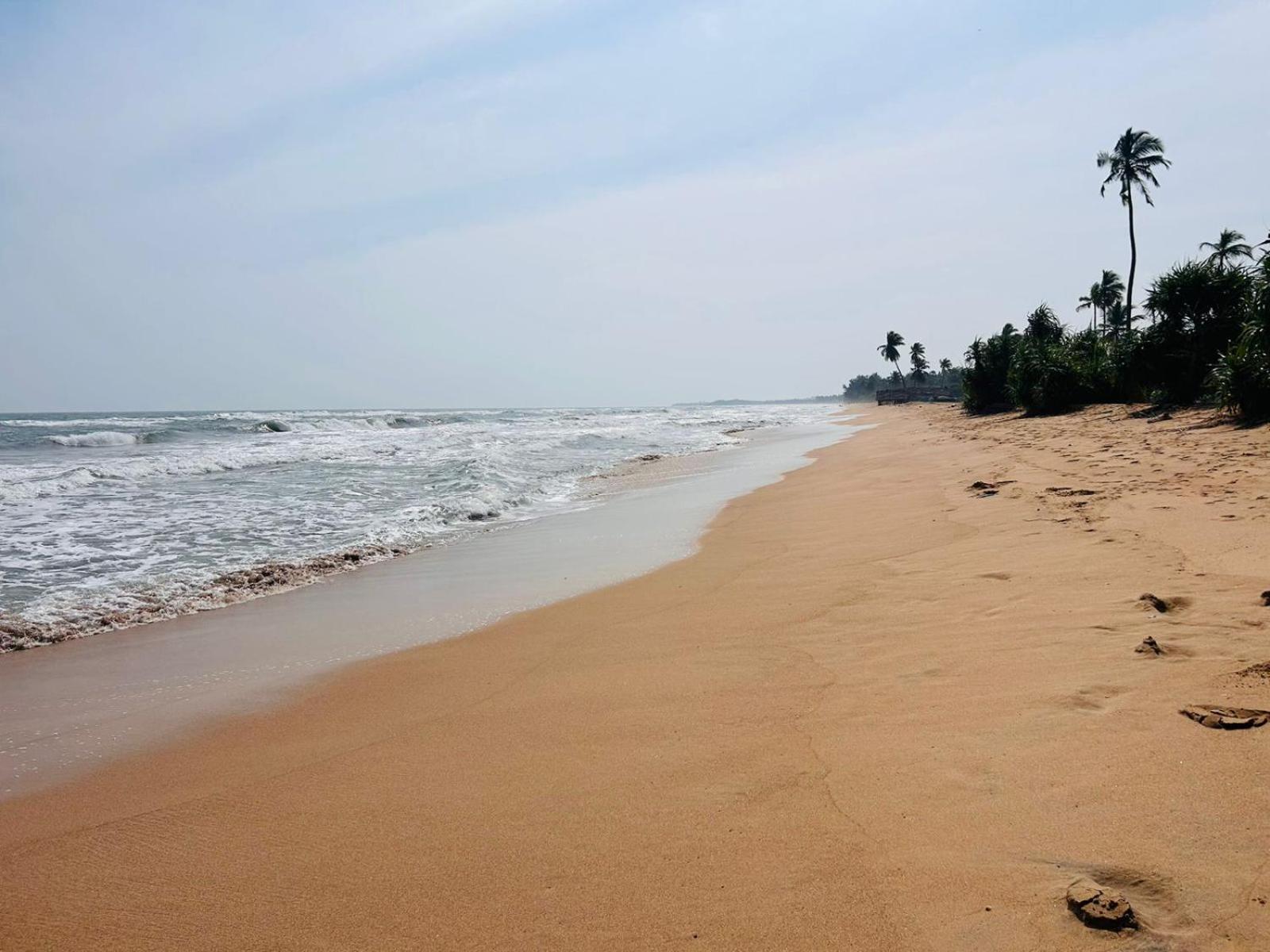 Blu Marine Nilaveli Hotel Trincomalee Ngoại thất bức ảnh